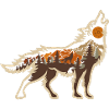 Wolf Nature Conservation Wild Animals