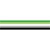 Aromantic flag