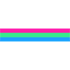 Polysexual flag