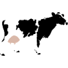 Ko