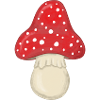Fly agaric