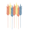 Cereals Field