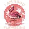I Flamazing flamingo oiseau flamingos