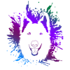 White Shepherd