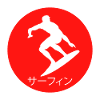 Surf, Surfer