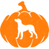 Halloween Dog Pumpkin