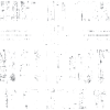 Dentist is here