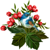 Bunter Vogel