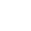 Humpback Whale Fish Sea Life