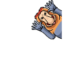 Proboscis Monkey Monkeys