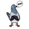 Pigeon breeding Pigeon fanciers