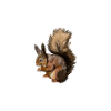 Waldbewohner Tierfreund Nagetier Eichhörnchen