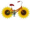 Fahrrad Sonnenblume