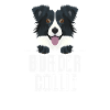 Souriant Border Collie