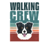 Gassi Crew, Border Collie