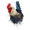 Chicken hand-drawn