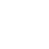 Dog dog agility