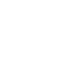 Dog dog agility