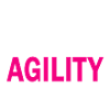 Dog dog agility