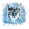 lynx,chat, bleu,peinture,aquarelle