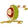 Funny chestnut hikes in autumn