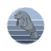 Manatee Fan