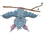 Fledermausl