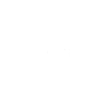 Bullterrier Hunde