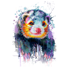 Ferrets hand-drawn