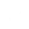 Mantrailing Search Dog Tracking Dog