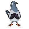 Éleveurs de pigeons