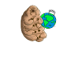 Fly into space