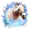 cheval,haflinger, graffiti, peinture,bleu, chevaux,