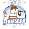 MÖWE MOIN STRALSUND
