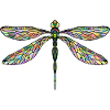 Libellule