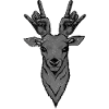 Heavy Metal Reindeer Antlers