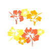 Aloha Island Of Paradise