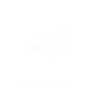 GO WITH THE FLOW