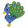 peacock
