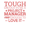 "Project Manager Crazy" | "Project Manager"