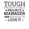 "Project Manager Crazy" | "Project Manager"