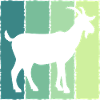Chèvre