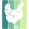 Poulet