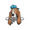 Basset Hound
