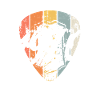 1970 anniversaire guitare guitariste