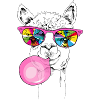 Cool Llama