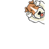 Foxterrier Drahthaar Ätsch Bätsch