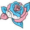 Trans Pride Rose