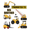 Promoted to Big Brother