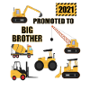 Big brother 2021